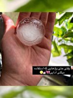 قالب یخ کروی شش تایی - Image 4